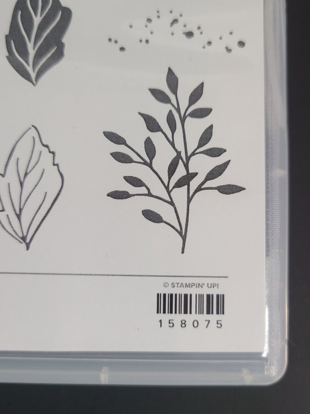Stampin' Up! Friendly Hello Stamp Set with 12x12 Designer Series Paper DSP - Picture 5 of 9